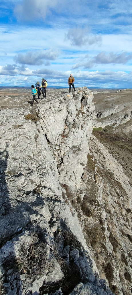 WhatsApp Image 2026-02-10 at 14.47.48 (6)